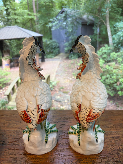 Stunning Mottahedeh Italian birds pair!