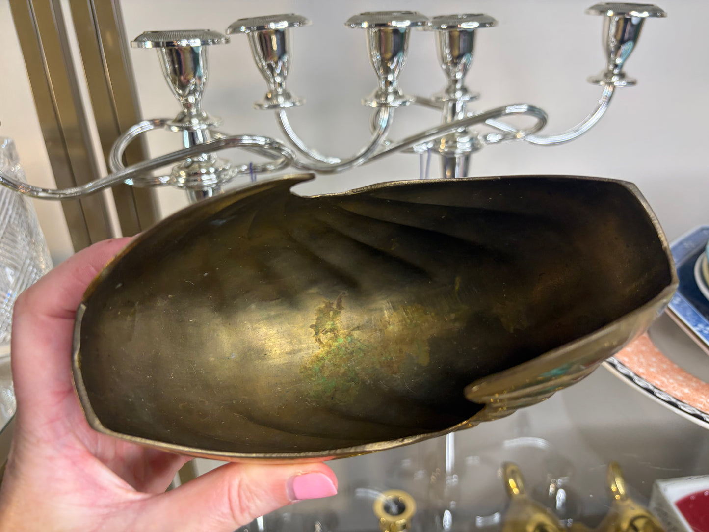 Beautiful brass nautilus seashell vase on pedestal!