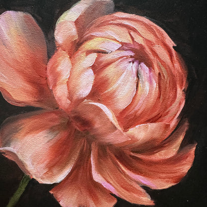 Pink peony original oil painting 12x12”