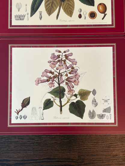 Set (4) Pimpernel Placemats