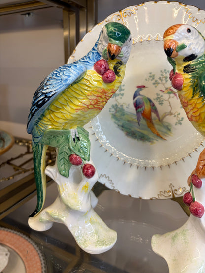 Stunning Chelsea House parrots pair!
