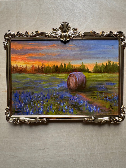 Field of flowers bluebonnets