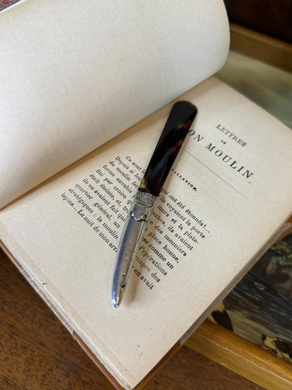 Antique Levi & Salaman Sterling Silver & Tshell 🐢🤎 Page Turner | Birmingham Hallmarks | 5.5”