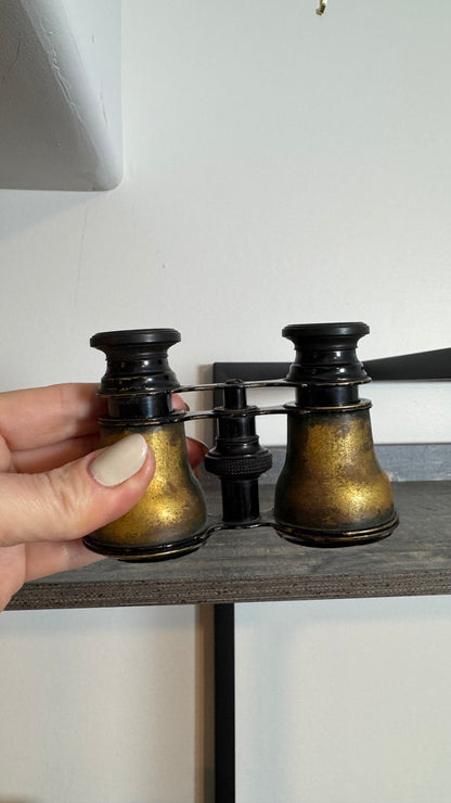 Vintage Opera Glasses with Fitted Case (Copy)