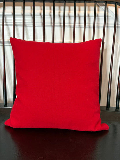 Crate & Barrel Winterberry Pillow 18”