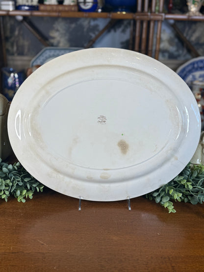 🔥ON AUCTION 🔥 Vintage Royal Staffordshire Dinnerware by Clarice Cliff | Tonquine Turkey 10 Dinner Plates & Large Platter | Thanksgiving Transferware | Made in England