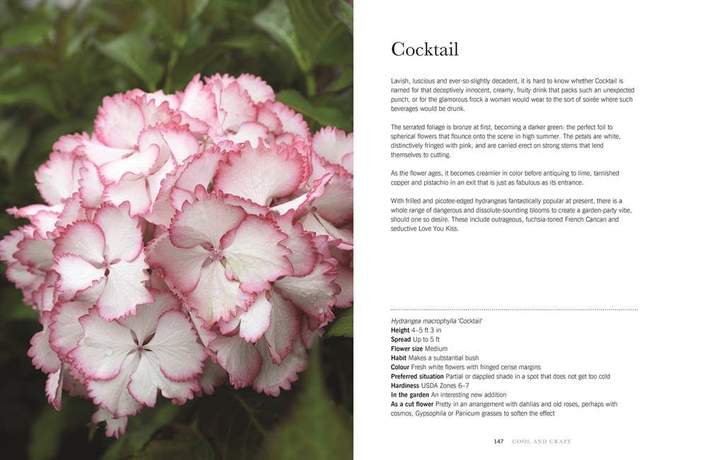 Hydrangeas: Beautiful Varieties for Home & Garden Design Book