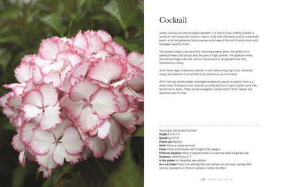 Hydrangeas: Beautiful Varieties for Home & Garden Design Book