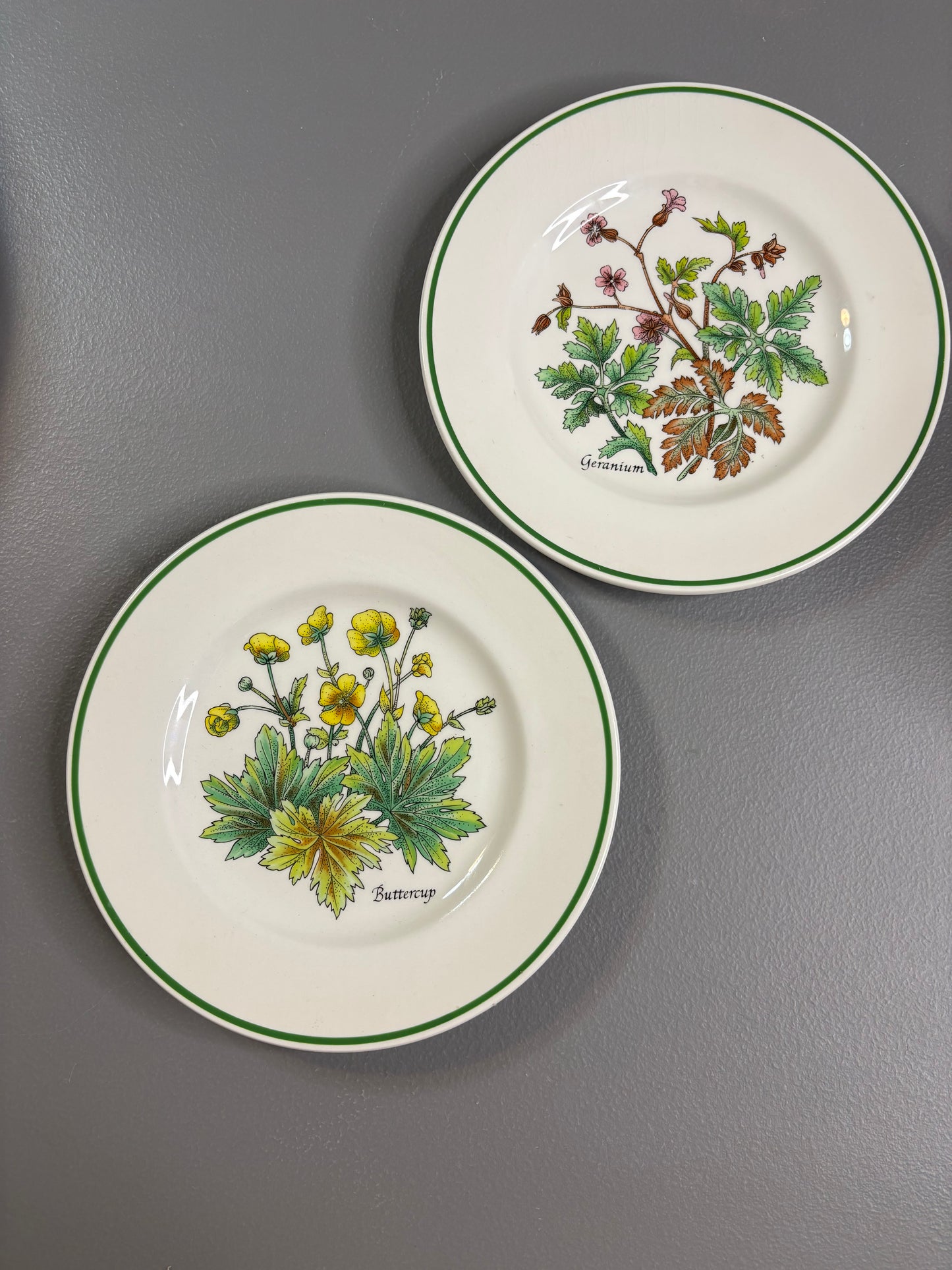 Beautiful Tiffany & Co. Johnson Brothers botanical plates set of 2!