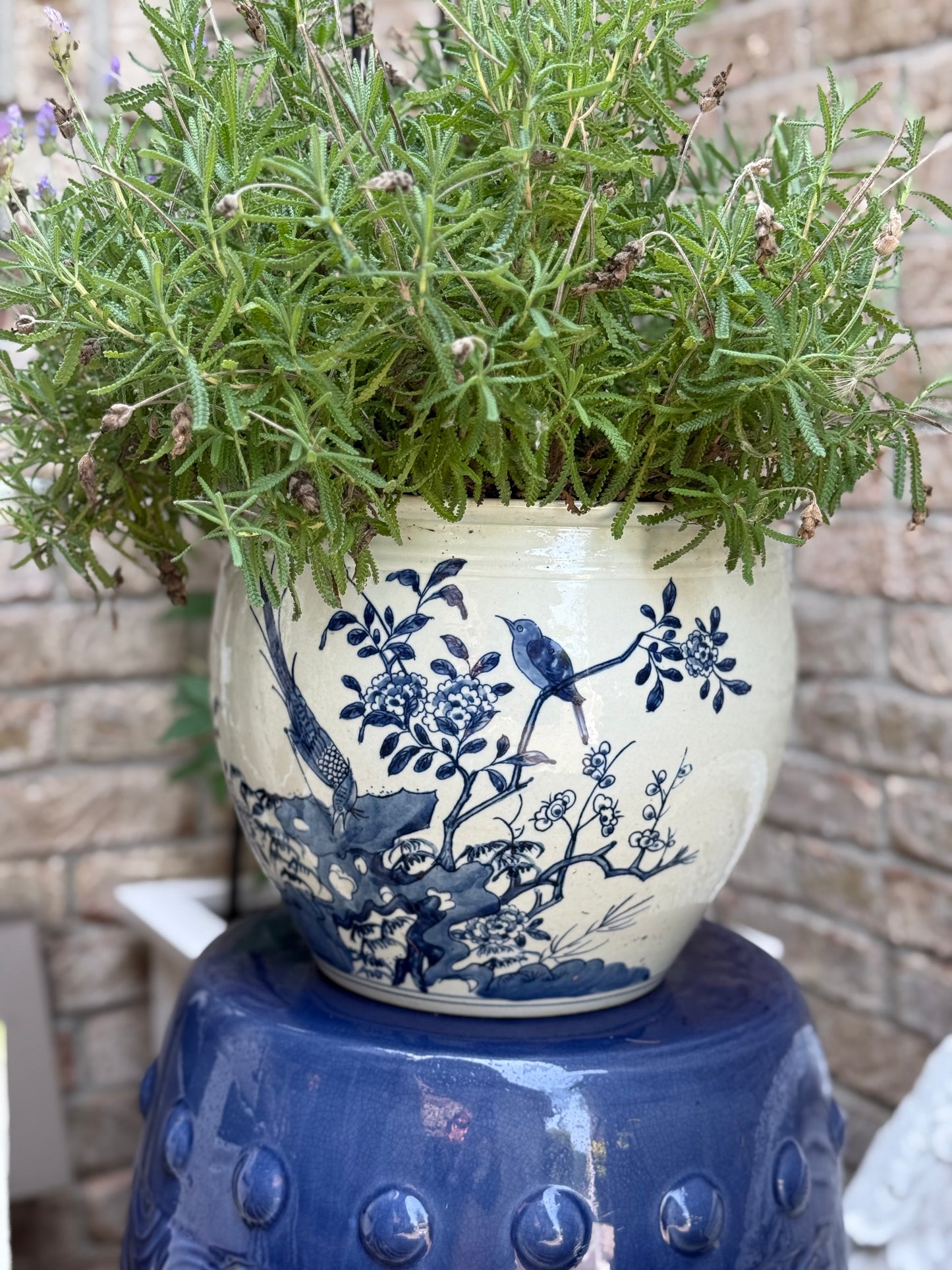Danny’s Fine Porcelain - Blue & White, 10" Tall, Hand painted Planter/Pot Bird Design