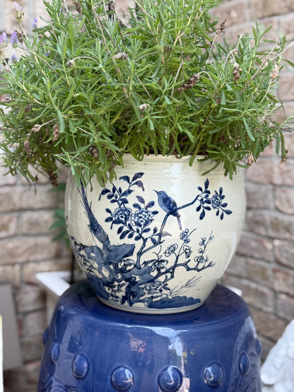 Danny’s Fine Porcelain - Blue & White, 10" Tall, Hand painted Planter/Pot Bird Design