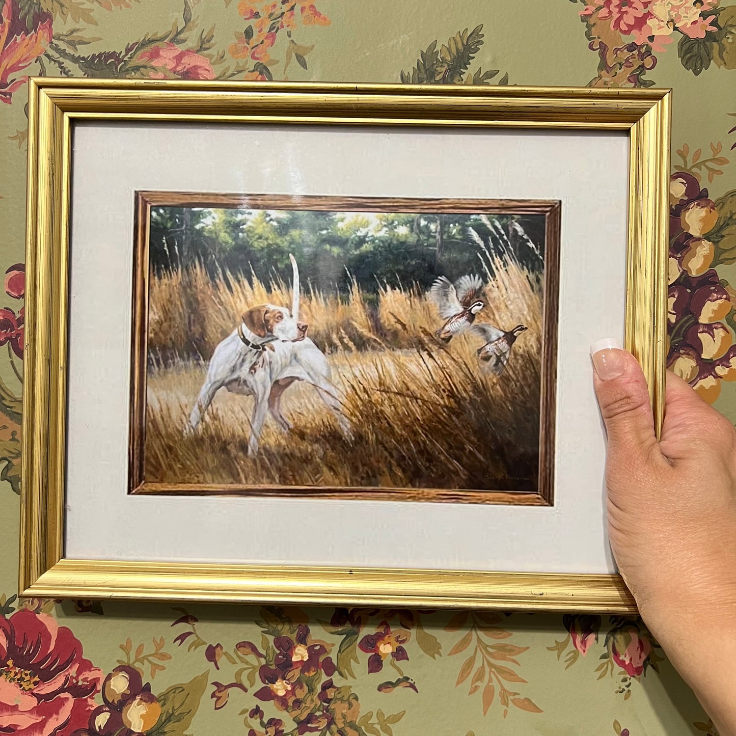 Hunting dogs and birds scene print framed 9x10.75