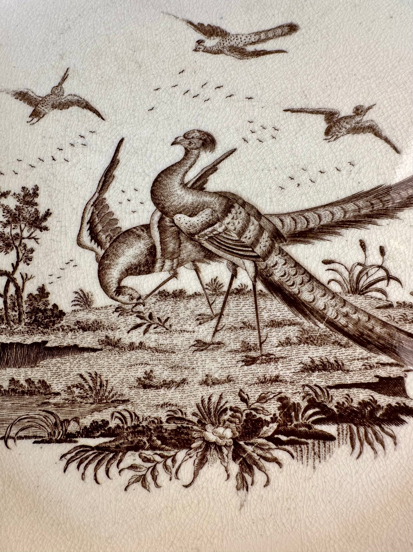 Late 19th Century Wedgwood "Lag & Feather" Brown Transferware Plates Pair, Made in England, 10"