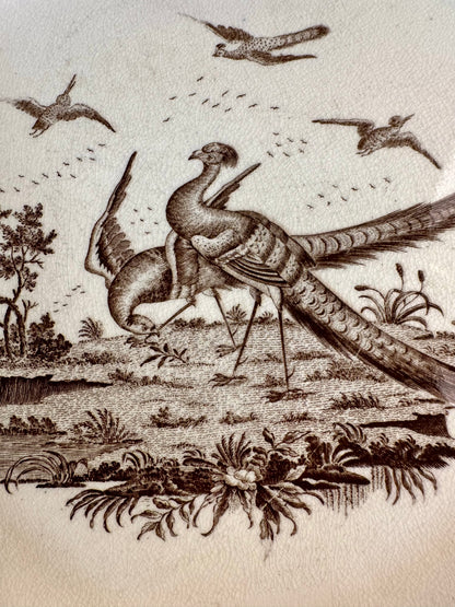 Late 19th Century Wedgwood "Lag & Feather" Brown Transferware Plates Pair, Made in England, 10"