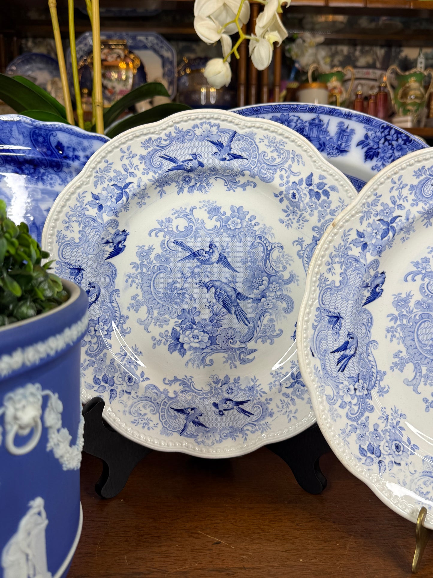 Pair of Wedgwood Blue & White Bird Design Plates | c.1884 | 10.25” D | #DA4599