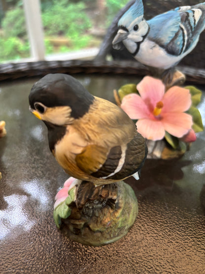 Sweetest Andrea by Sadek chickadee! - Excellent condition!