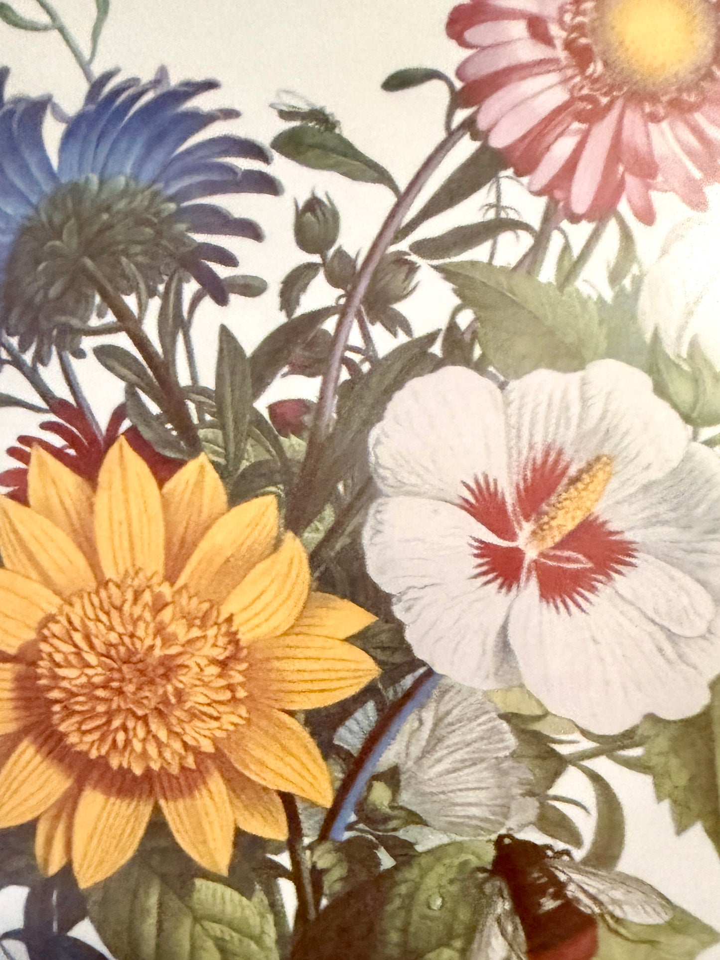 Beautiful set of two vintage botanical lithography and style wall art 25 x 19 ea