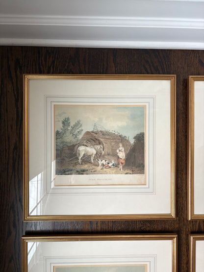 Set (4) Framed 19th century Lithographs