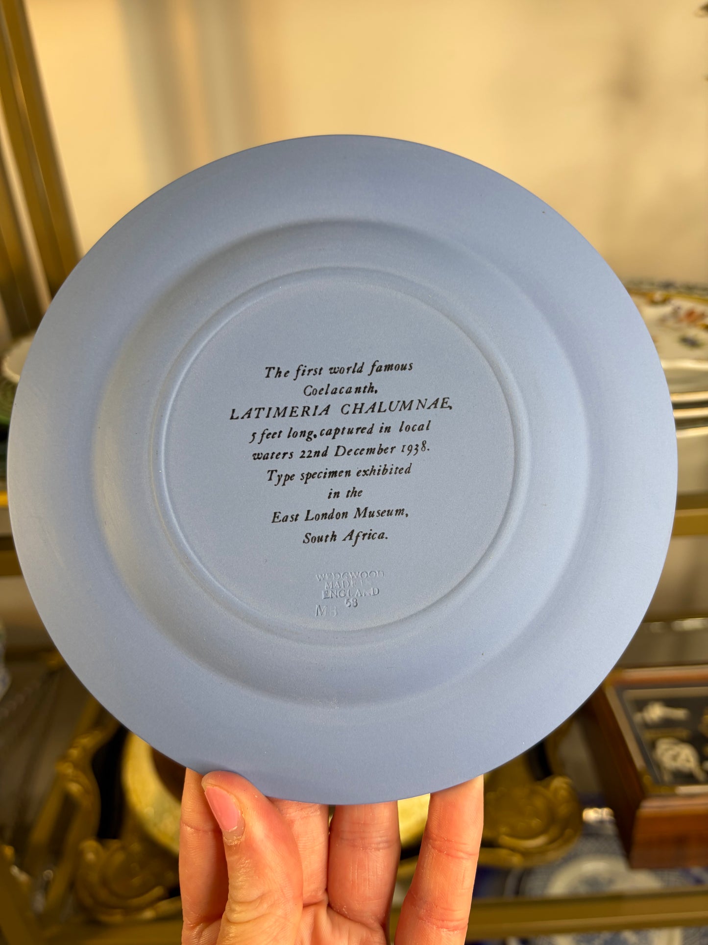 Rare Wedgwood Jasperware Coelacanth Plate with shell border!