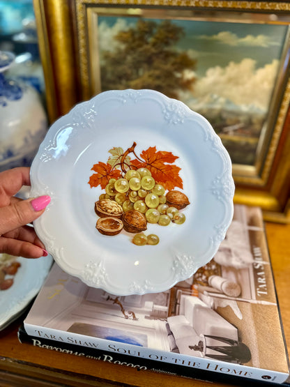 Fruit Harvest Baronesse Salad Plates by Tirschenreuth, Set of 5, Made in Germany, 8.25”