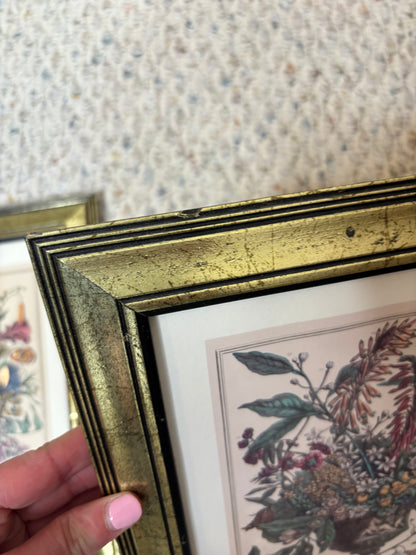 Framed Robert Furber January month print!