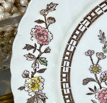 Set of 18 vintage Kashmir tree stunning scalloped dinner plates 10d