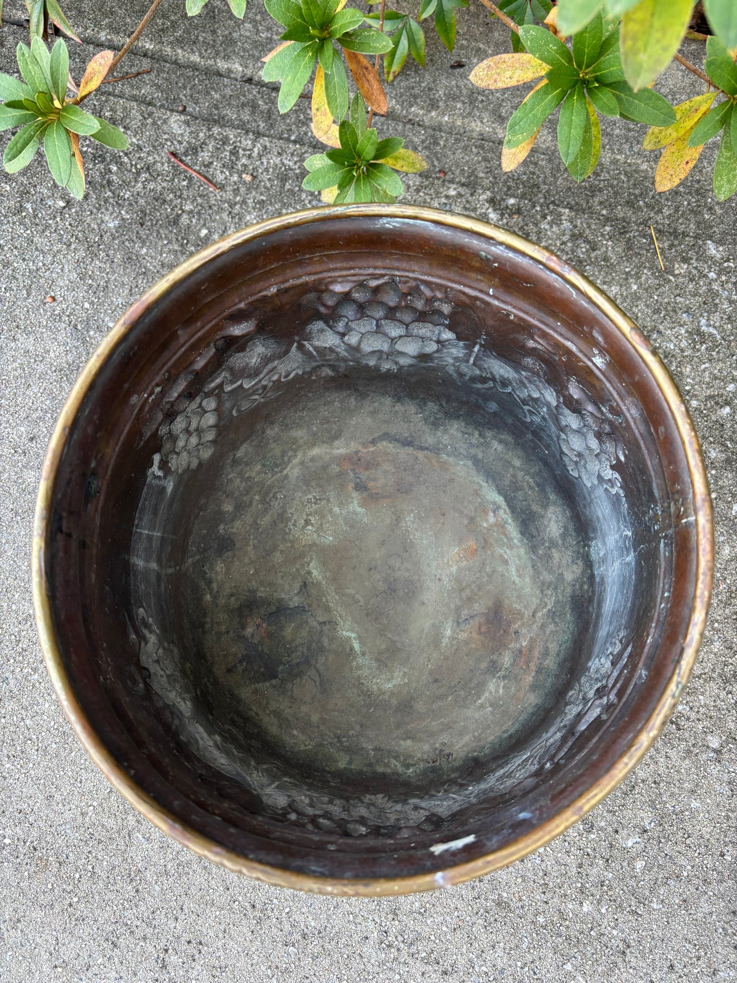 Beautiful large brass planter with grape vine motif, Lion handles, and claw feet! As is!