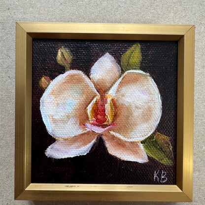 Mini art orchid original oil paintings on stretched canvas 3x3”