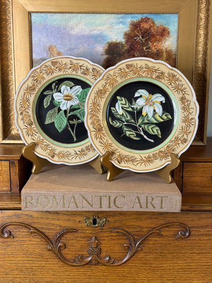 Danny’s Fine Porcelain - Hand-Painted Botanical Porcelain Plate Pair