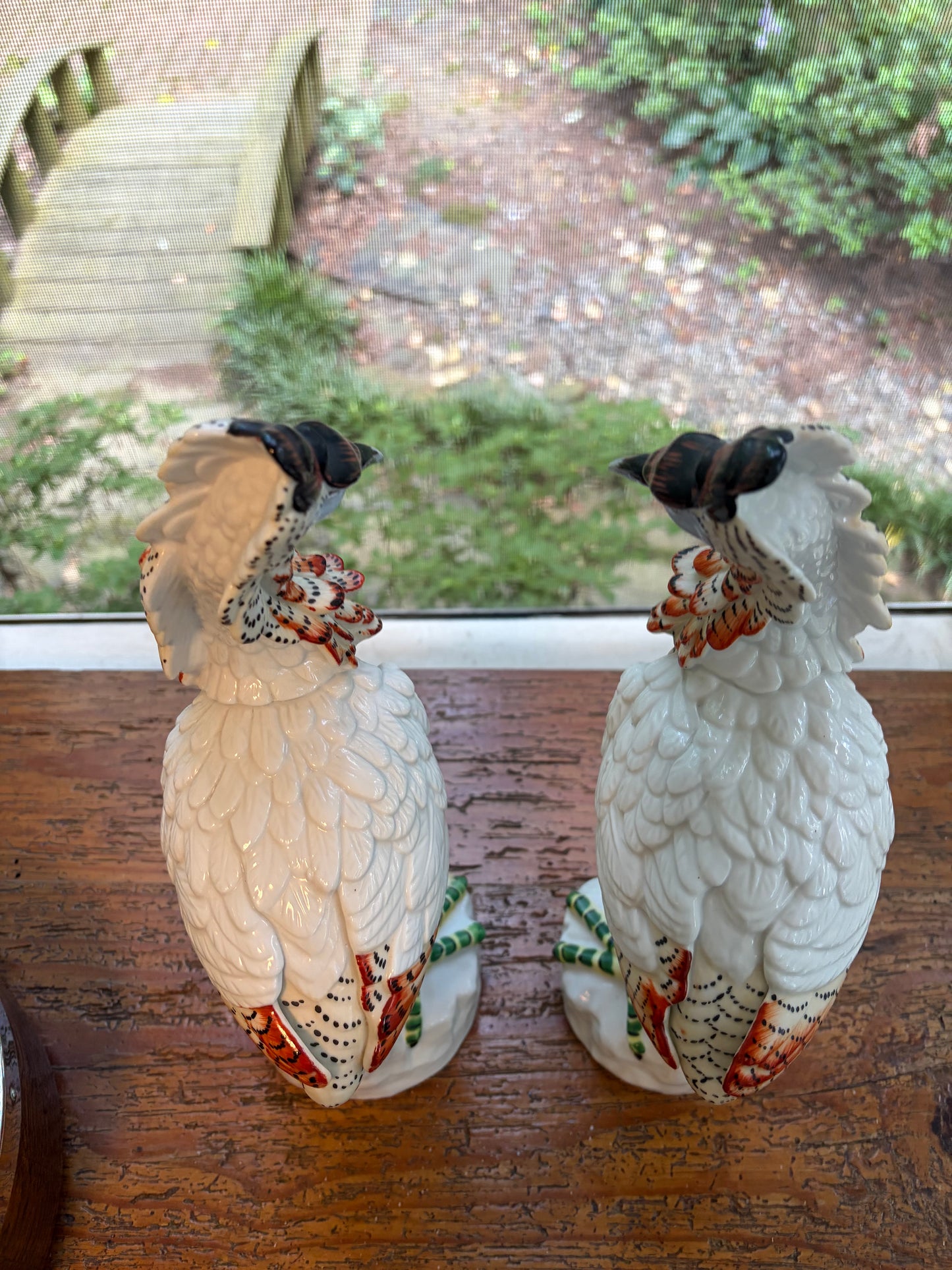Stunning Mottahedeh Italian birds pair!