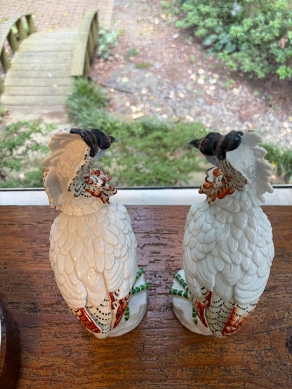 Stunning Mottahedeh Italian birds pair!