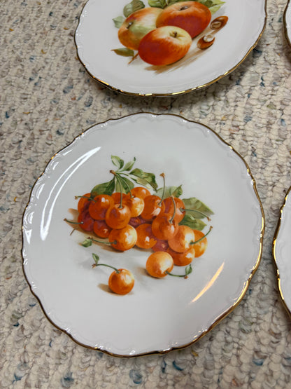 Beautiful Bavaria Fruit Plates set of 6!