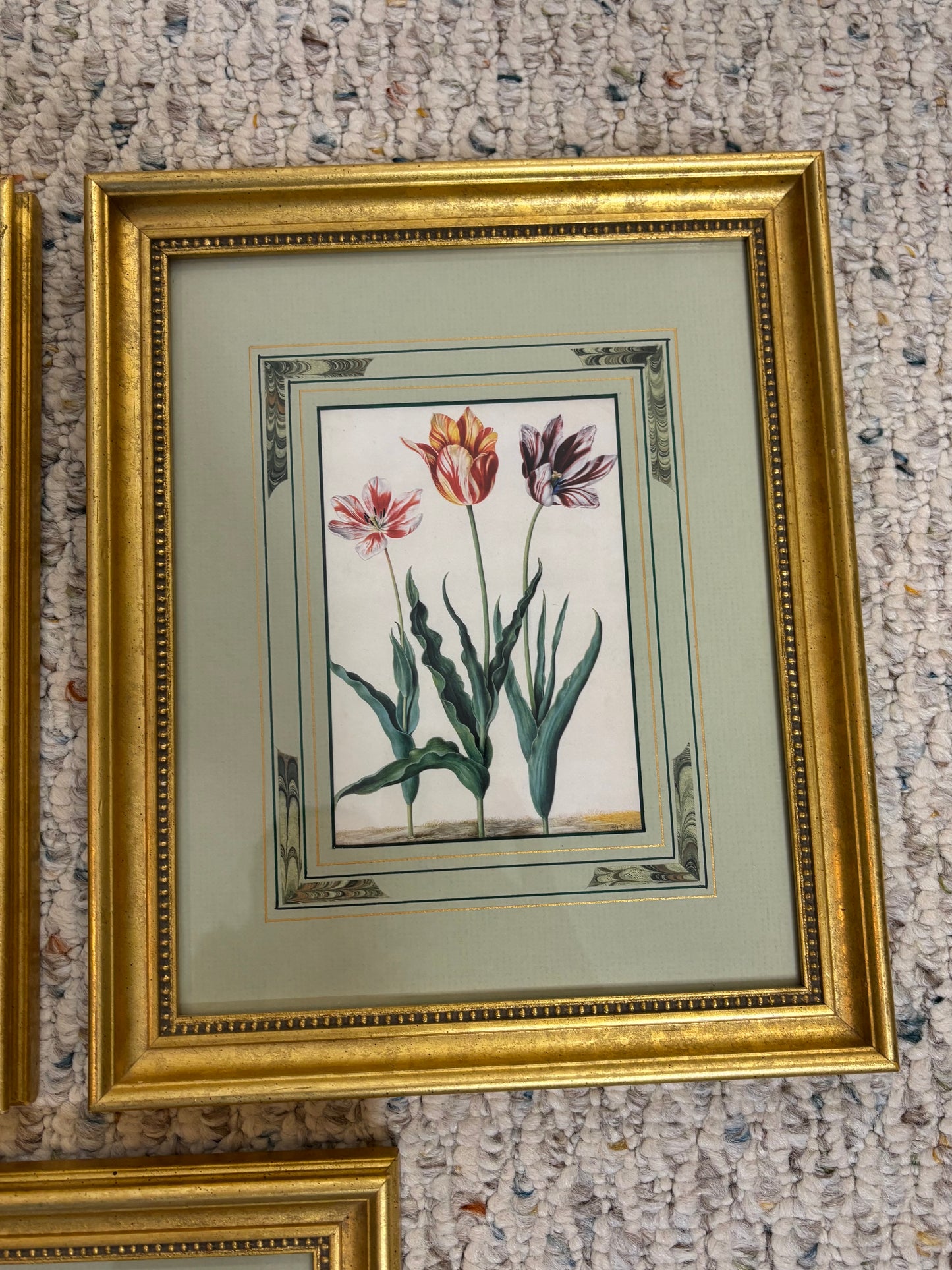 Lovely framed florals trio!