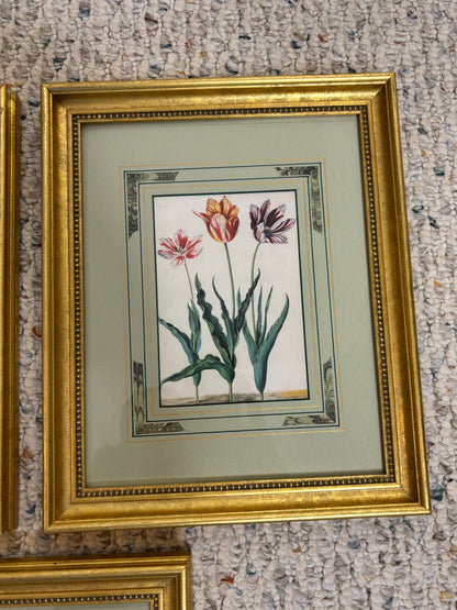 Lovely framed florals trio!