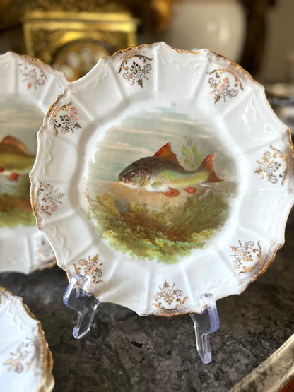 Beautiful Set of 6 Antique Gilded Fish Plates