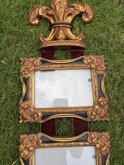 Beautiful Fleur de Lis picture frame wall hanging!