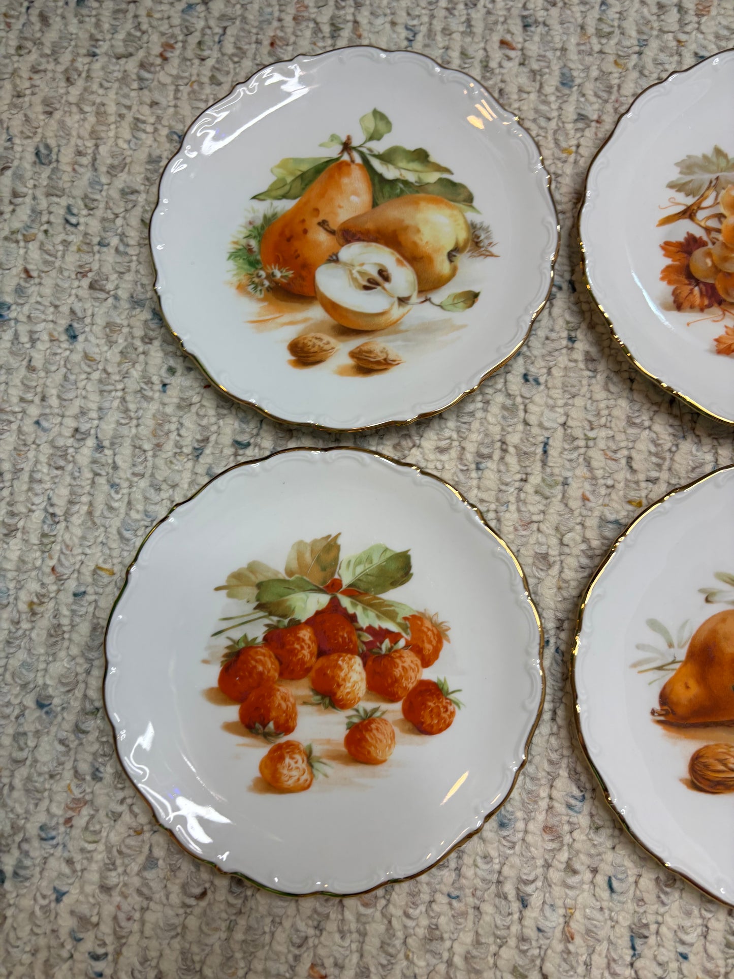 Beautiful Bavaria Fruit Plates set of 6!