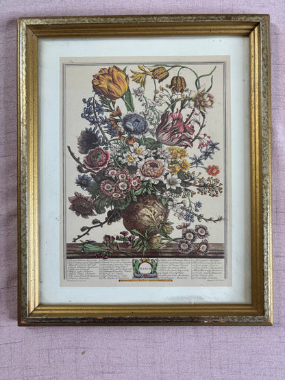 March Framed Botanical Month Print!