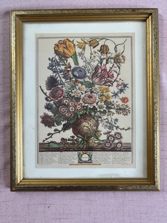 March Framed Botanical Month Print!