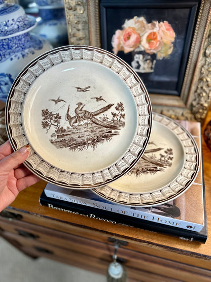 Late 19th Century Wedgwood "Lag & Feather" Brown Transferware Plates Pair, Made in England, 10"