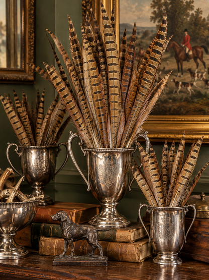 Natural Ringneck Pheasant Tail Feathers | 12–14” Long | Set of 10 | English Country Décor