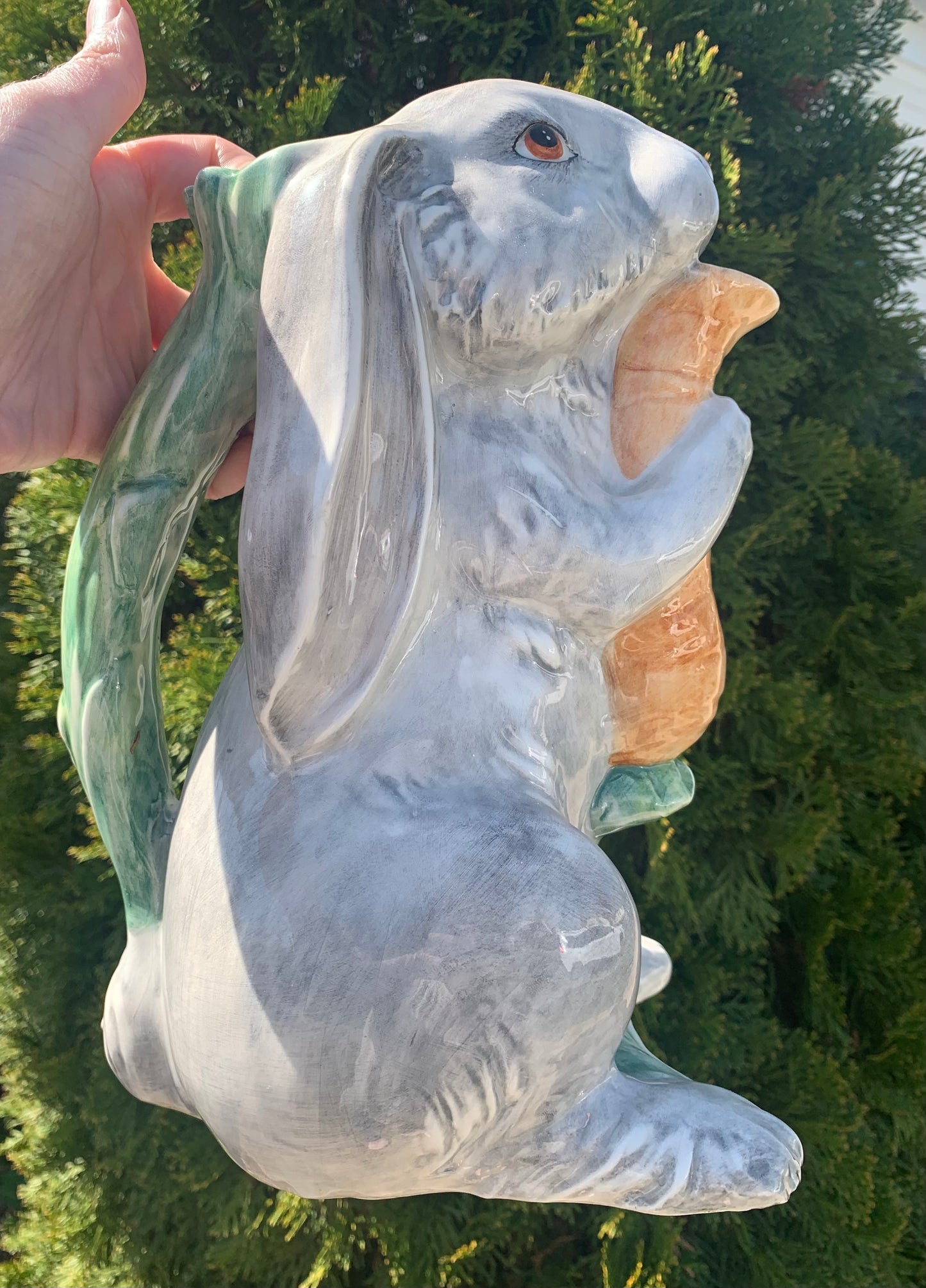 Sweetest Italian floppy eared bunny pitcher!