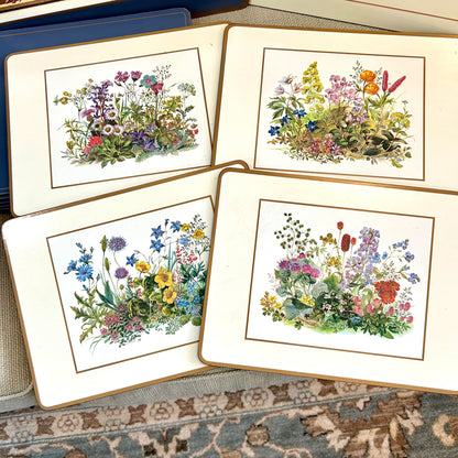 Pimpernal England cork back botanical art or placemat 12 x 9