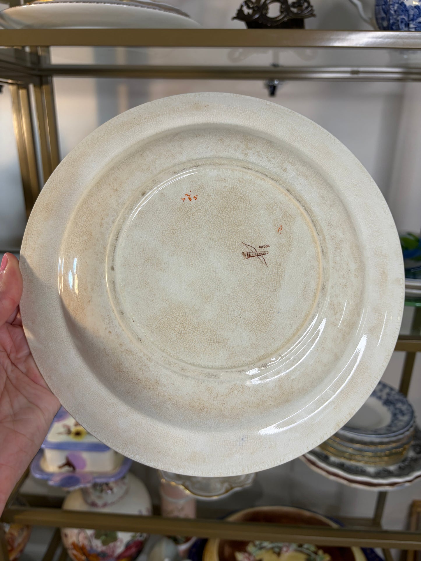 Antique Ridgways “Budge” shallow bowl in Imari colors!