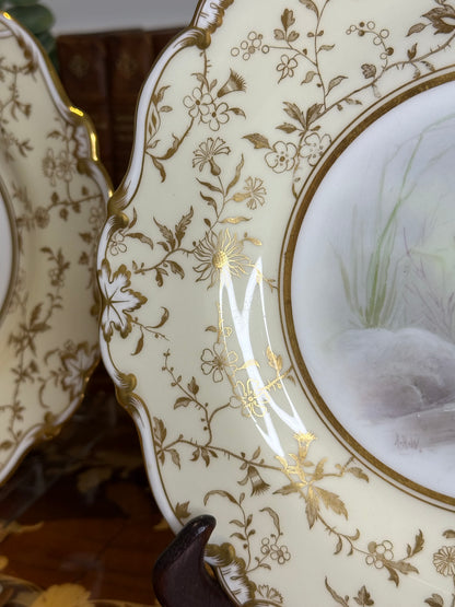 Pair of Minton Hand-Painted Fish Cabinet Plates by Albert H. Wright | Davis Collamore New York | c.1895 | #DA3143