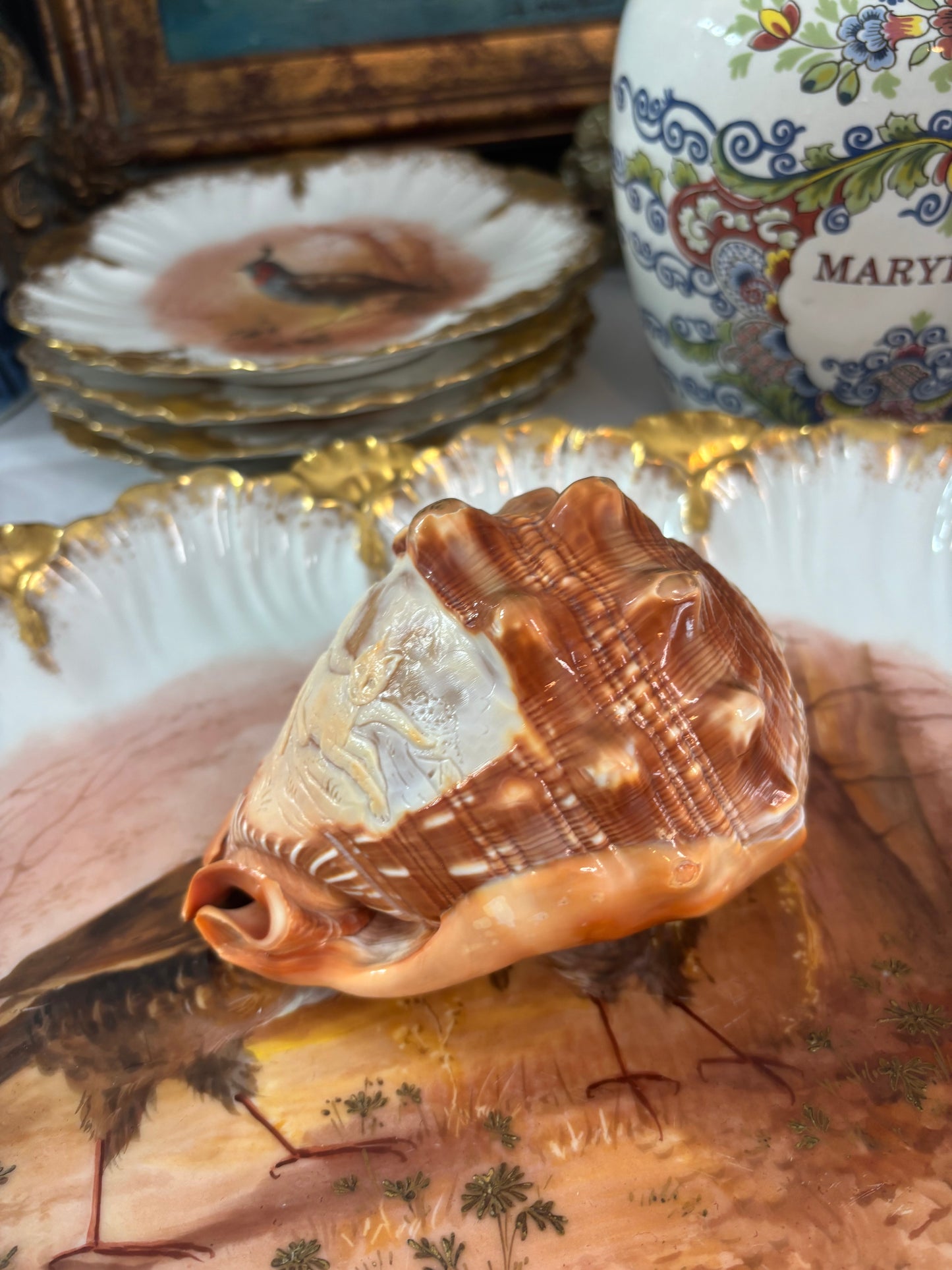 Stunning cameo conch shell with cats! Signed by artist!