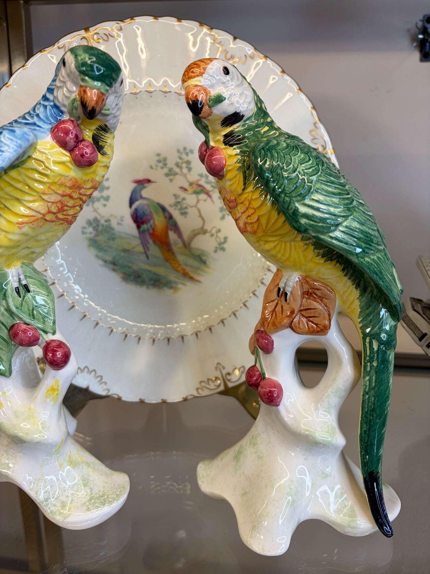 Stunning Chelsea House parrots pair!