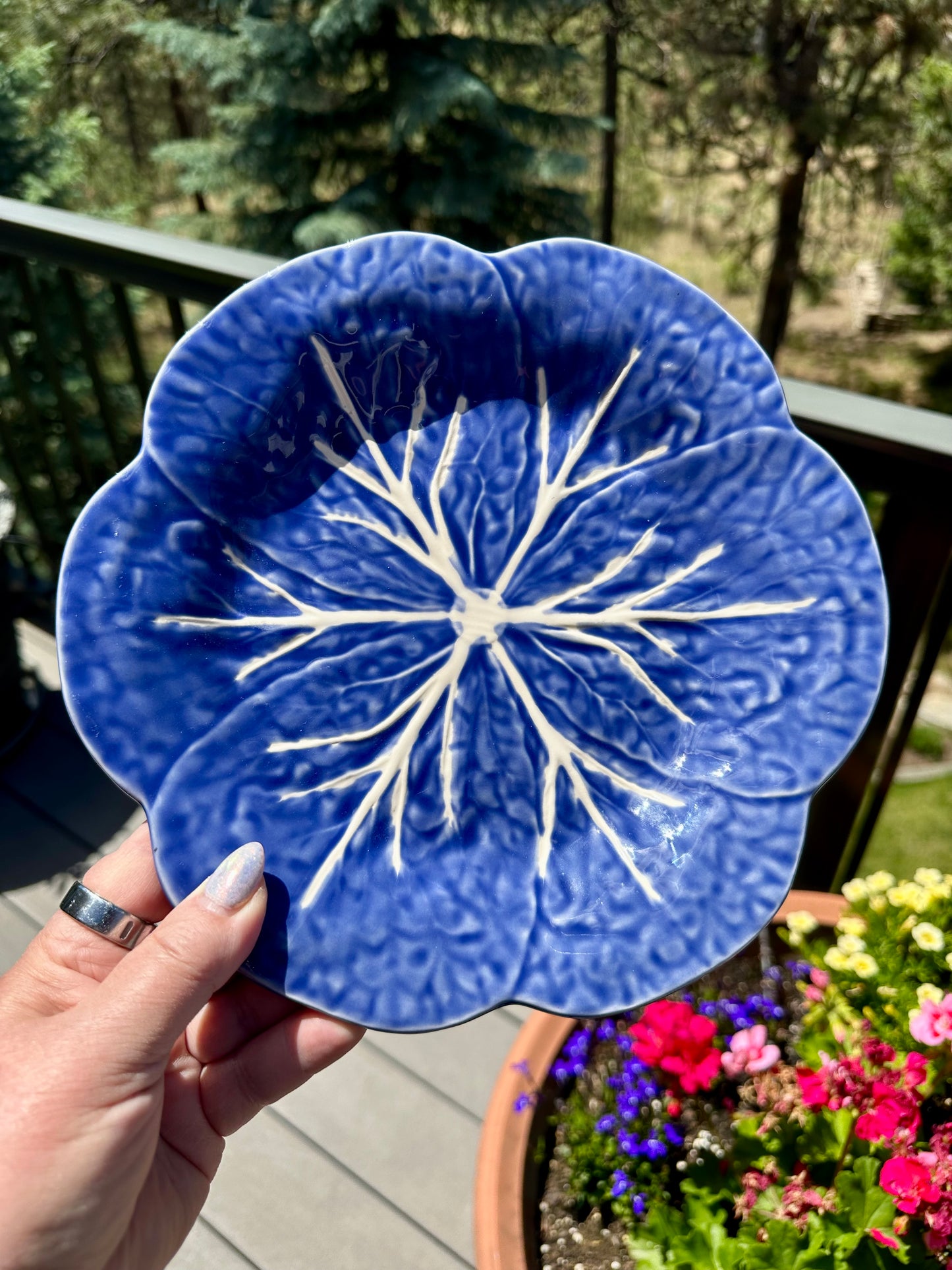 Rare Bordallo Pinheiro Blue Sapphire Cabbage Luncheon Plates | 9.25”