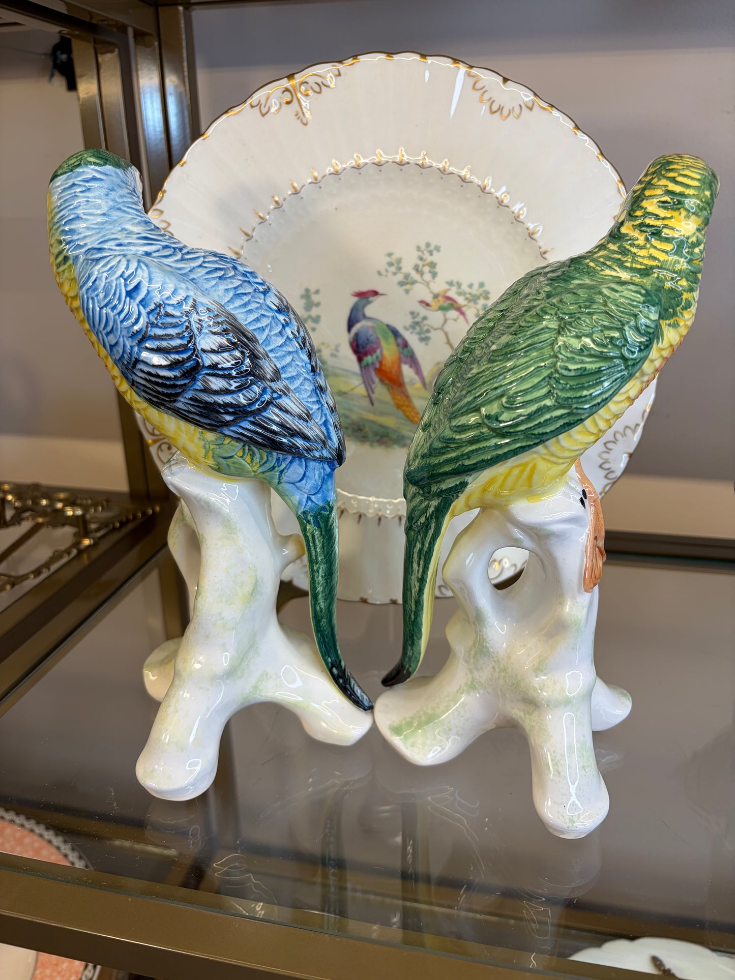 Stunning Chelsea House parrots pair!