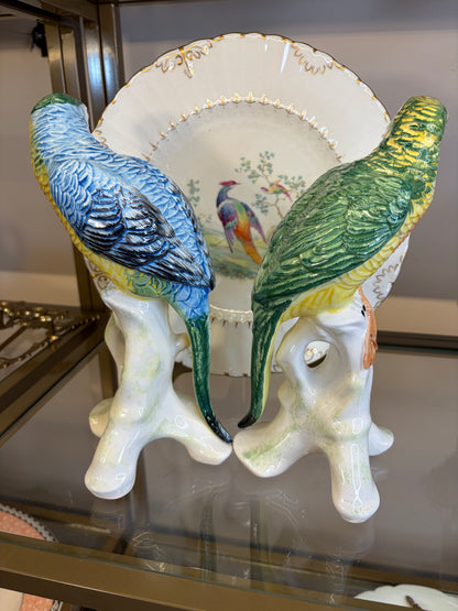 Stunning Chelsea House parrots pair!
